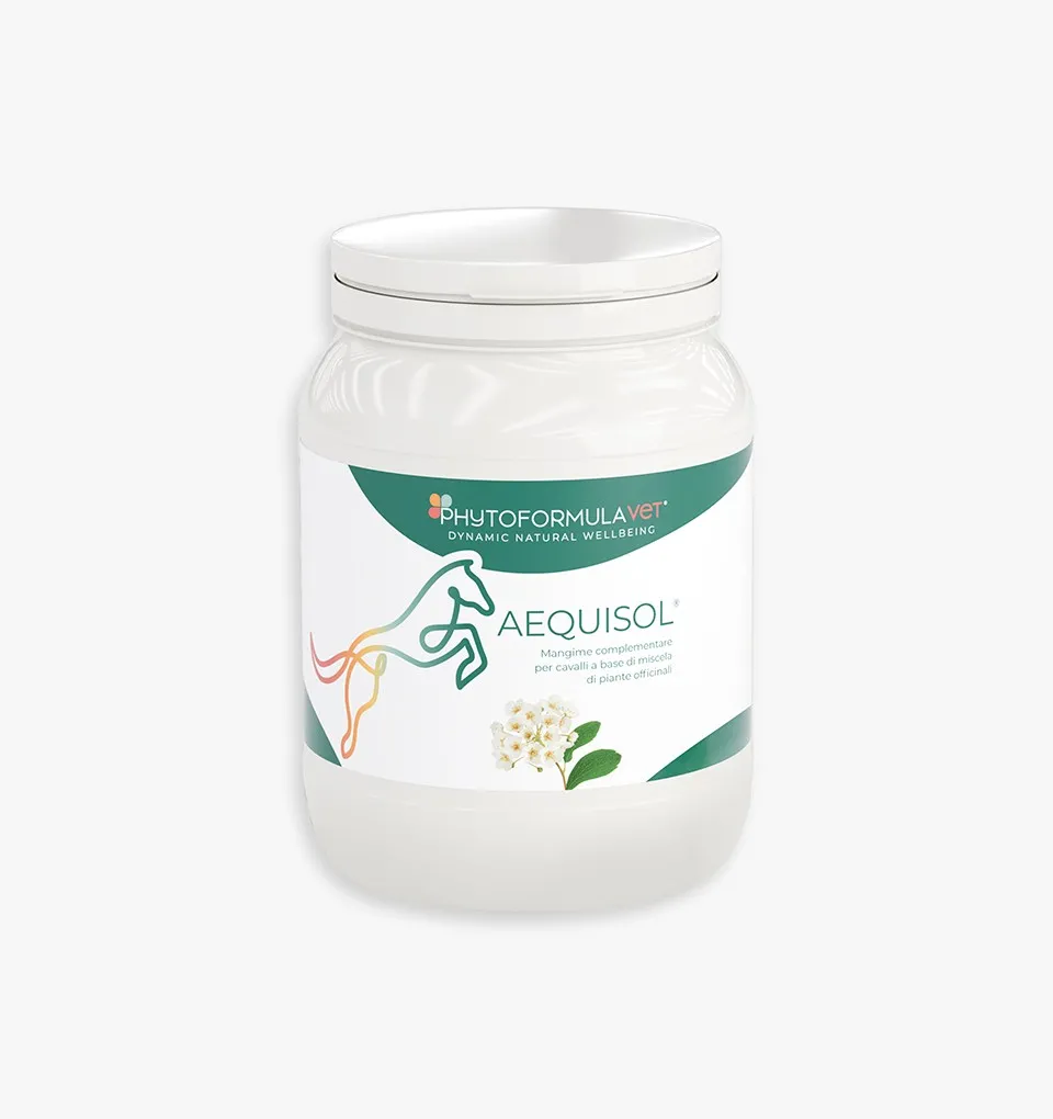 Aequisol Complementary feed for horses 500g
