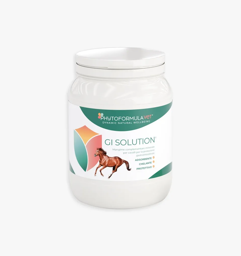 GI SOLUTION Mangime complementare per cavalli per la protezione gastro-intestinale | RI.MOS. VET