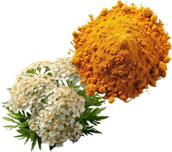 Scopri i componenti principali di PHYTOFORMULAVET di RIMOS VET