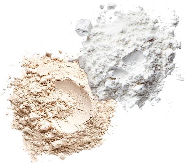 Scopri i componenti principali di PHYTOFORMULAVET di RIMOS VET