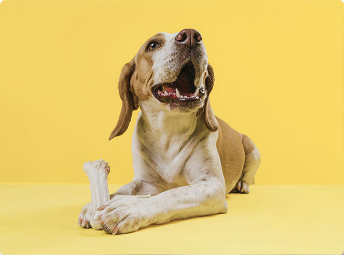 Iscriviti alla newsletter RIMOS VET e ricevi il 10% di sconto