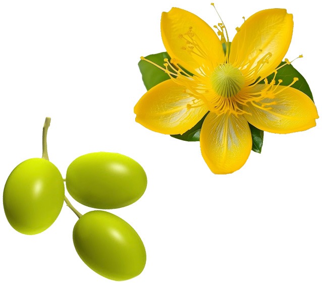 Scopri i componenti principali di Hypermix di RIMOS VET