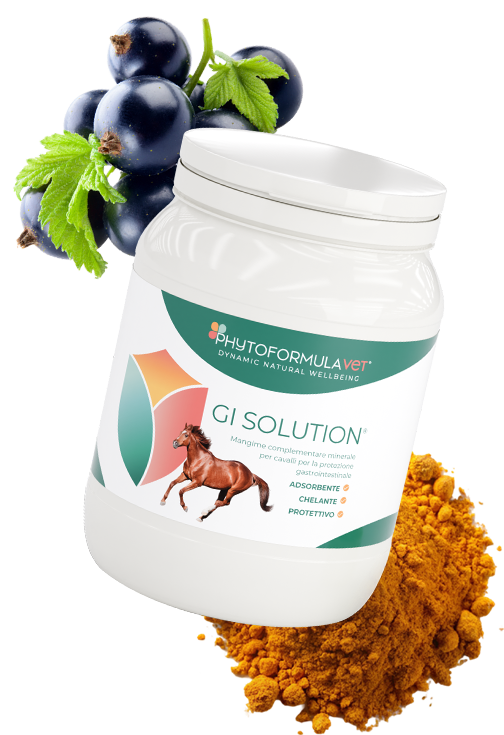 Scopri i prodotti PhytoformulaVET - RIMOS VET