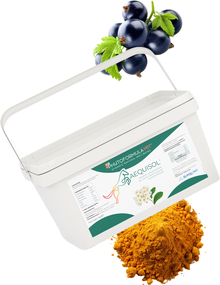 Perchè scegliere i mangimi complementari per cavalli PhytoformulaVET di RIMOS VET