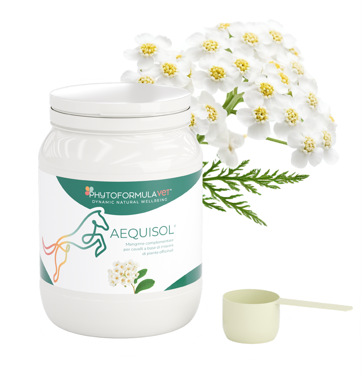 PhytoformulaVET sono prodotti naturali e sicuri di RIMOS VET