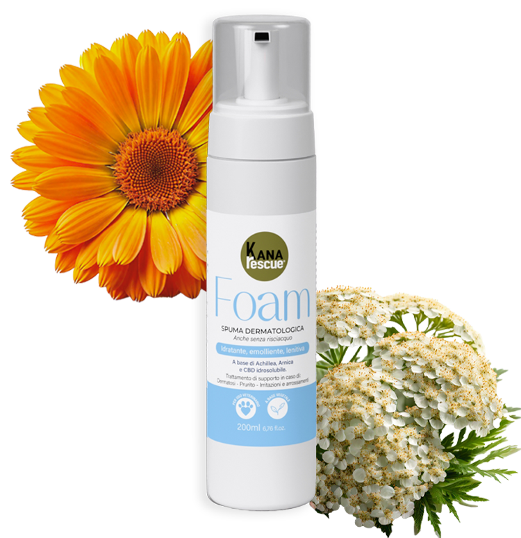 Kanarescue, UN AIUTO PER IL BENESSERE DEGLI ANIMALI - RIMOS VET