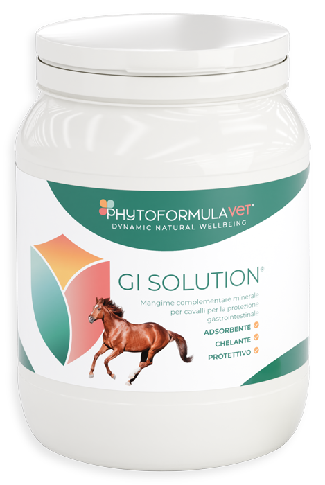 Perché scegliere GI Solution di RIMOS VET