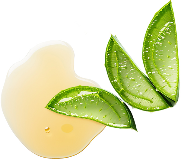 Scopri i componenti principali di Kanarescue di RIMOS VET